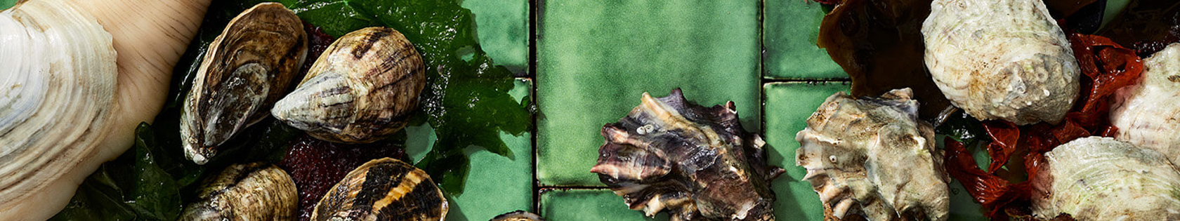 Taylor Shellfish Farms