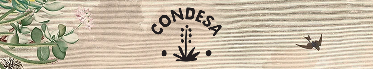 Condesa