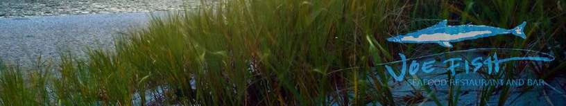 Joe Fish - North Andover