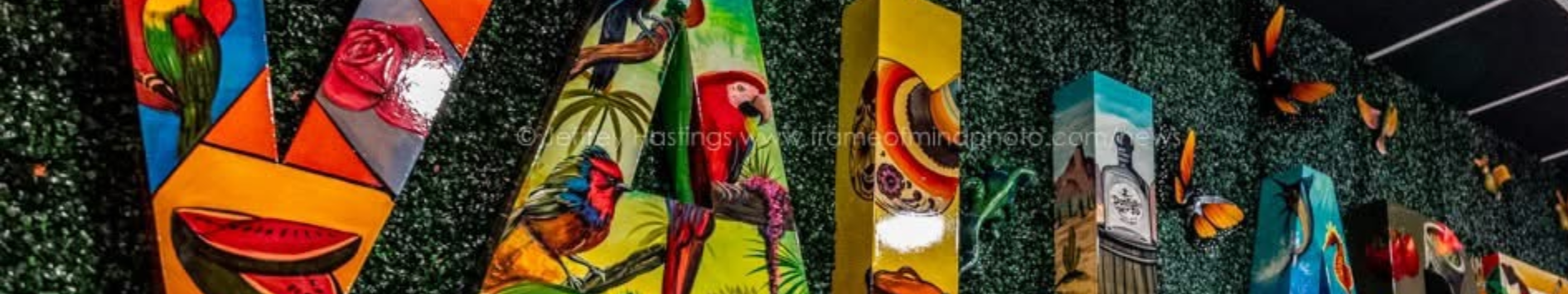 VALLARTA TEQUILA BAR