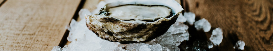Chelsea Farms Oyster Bar