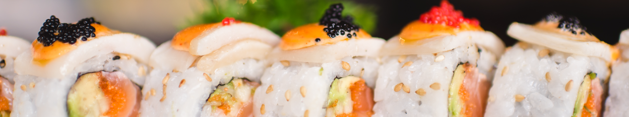 TANUKI SUSHI & GRILL